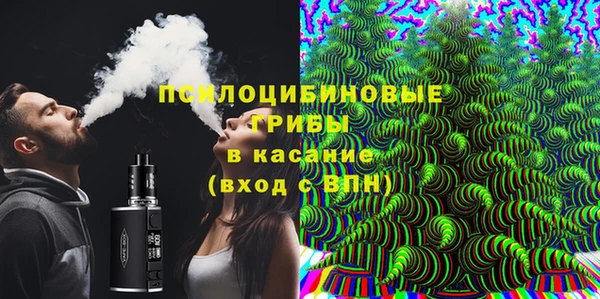 молекула духа Михайлов